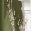 40 Inch Birch Branch With Iridescent Icy Glitter - From RAZ -Home Candle Shop 40 inch birch 300