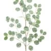32 Inch Silver Dollar Spray - Green With Glitter Brown Stems -Home Candle Shop 80282