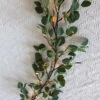 Electric Lighted Eucalyptus Garland 48 Warm White LED's - 6 Feet 2 Electric Lighted Eucalyptus Garland 48 Warm White LED's - 6 Feet -Home Candle Shop Eucalyptus Leaf Willow Garl