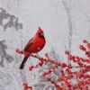Raz 24 Inch Twinkling LED Lighted Cardinal Scene Print On Canvas 1 Raz 24 Inch Twinkling LED Lighted Cardinal Scene Print On Canvas -Home Candle Shop cardinal on branch print ma