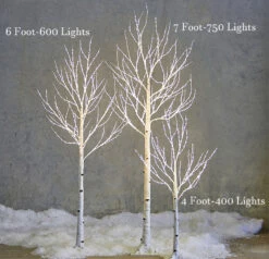 7 Foot Lighted Birch Tree - 750 Warm White Fairy Lights - From RAZ