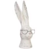 13.75 Inch Resin Rabbit With Glasses Decorative Figurine By RAZ -Home Candle Shop new style rabbit with glass